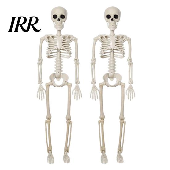 Durable Skeleton Model for Cemetery Theme Halloween Decoration, 3Ft Life Size Full Body Human Bone, Realistic Posable Party Decorations with