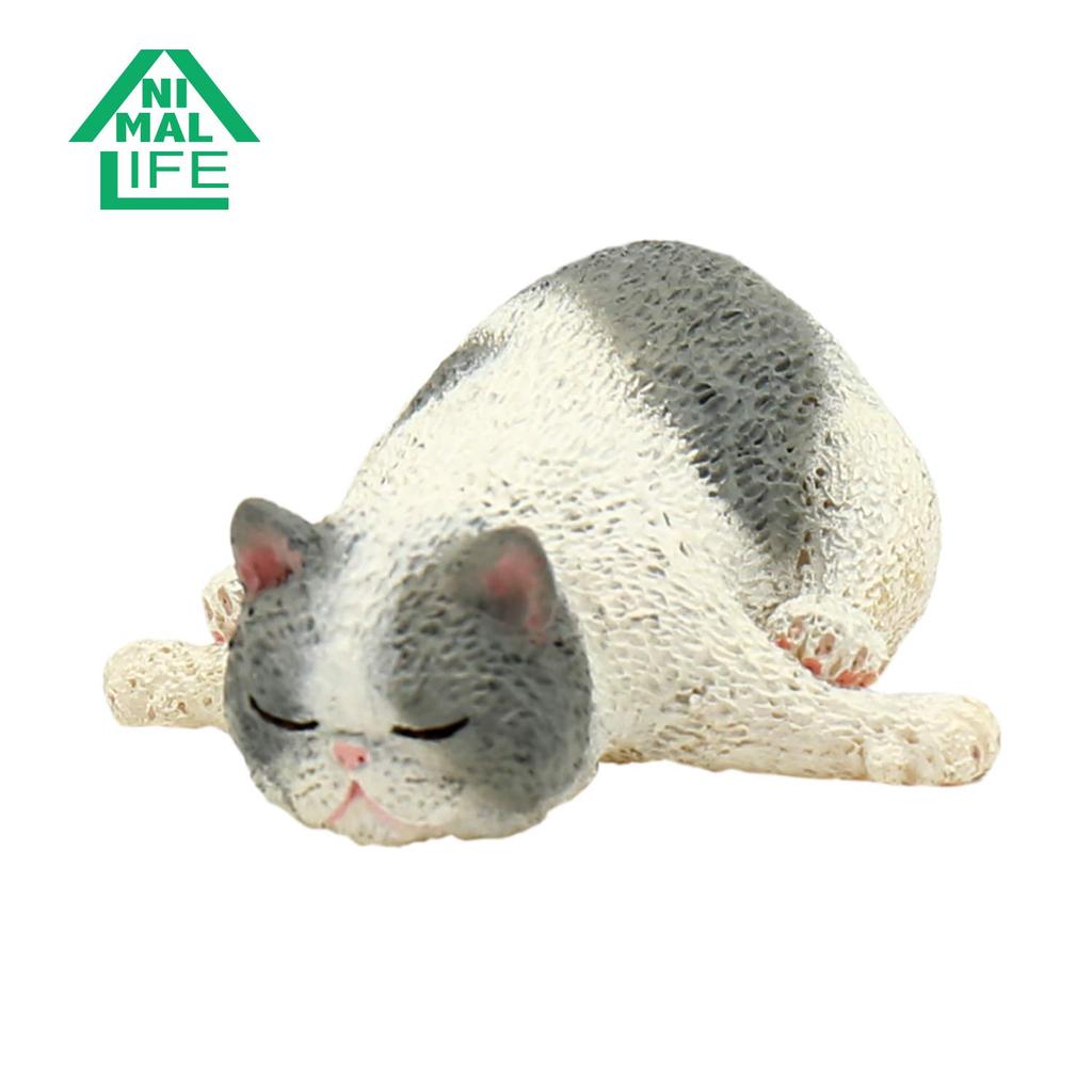 ANIMAL LIFE Yoga Cat 1BOX (8 Pieces)