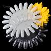 Puntos Nail Art 20 Colors Acrylic False Tip Practice Round Wheel Mould DIY Display Tool