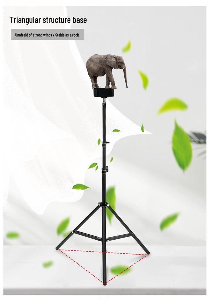 Live Broadcast Selfie Tripod with Fill Light for Multi-Camera Shooting & Singing