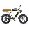 Engwe M1-D 250W 48V 28.6Ah Battery Dual Seat Electric Bicycle With Dual Suspension