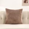 Plush Velvet Pillow Cover Premium Teddy Fleece Sofa Cushion Case Office Nap Pillow Seat Back Support Home Decor Throw Pillowcase