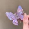 Acide Acétique Acétate Pince à Cheveux Papillon Animaux Grande Pince Requin Pince à Cheveux Papillon Femme