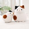 Non-Toxic Kawaii Animal Round Cat Plush Toys Chubby Creative Cats Dolls Cute Birthday Gifts Room Decoration