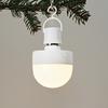 Magnetic LED Bulb with Remote Type-C Rechargeable Warm Light for Mood Lighting Timer & Dimmable Light Bulb for Parties Home Decor