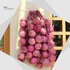 Home Decor Artificial Fruit Foam Vegetable Corn Pepper Garlic Hanging Photo Prop