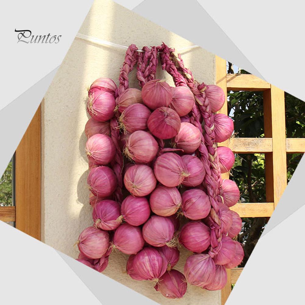 Home Decor Artificial Fruit Foam Vegetable Corn Pepper Garlic Hanging Photo Prop