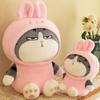 Sofa Decoration Transformed Cat Cat Plush Toys Dressup Cat Plush Doll Plush Animal Toy Stuffed Toys