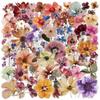 50 Retro Floral Graffiti Stickers: Realistic Dried Flowers, Transparent & Waterproof PET for Journaling