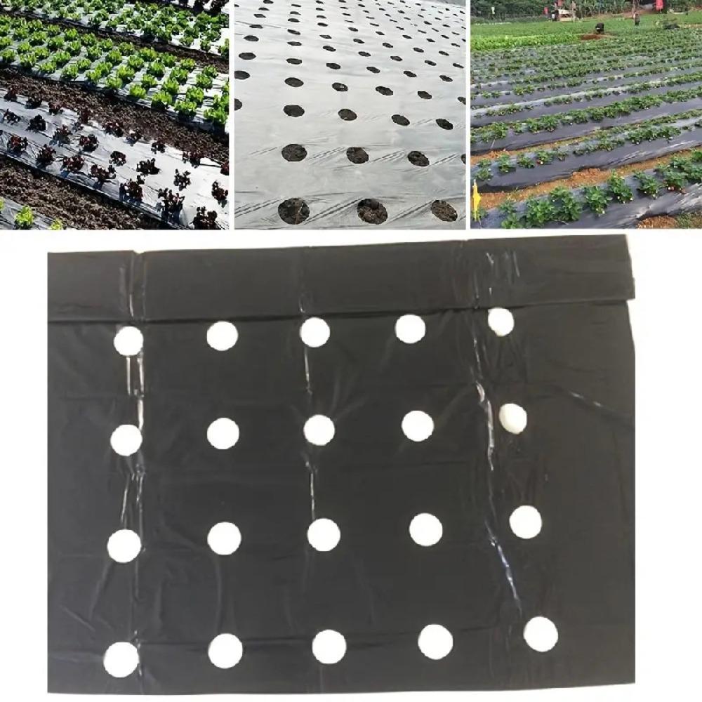 With Holes Planting Plastic Mulch Film Thermostatic Grow Film New Mulch Film for Eggplant Planting