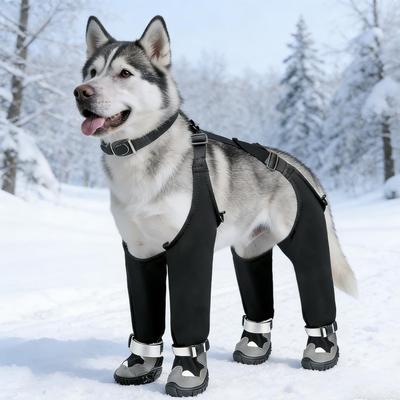 Tøj og sko – Sko til hunde