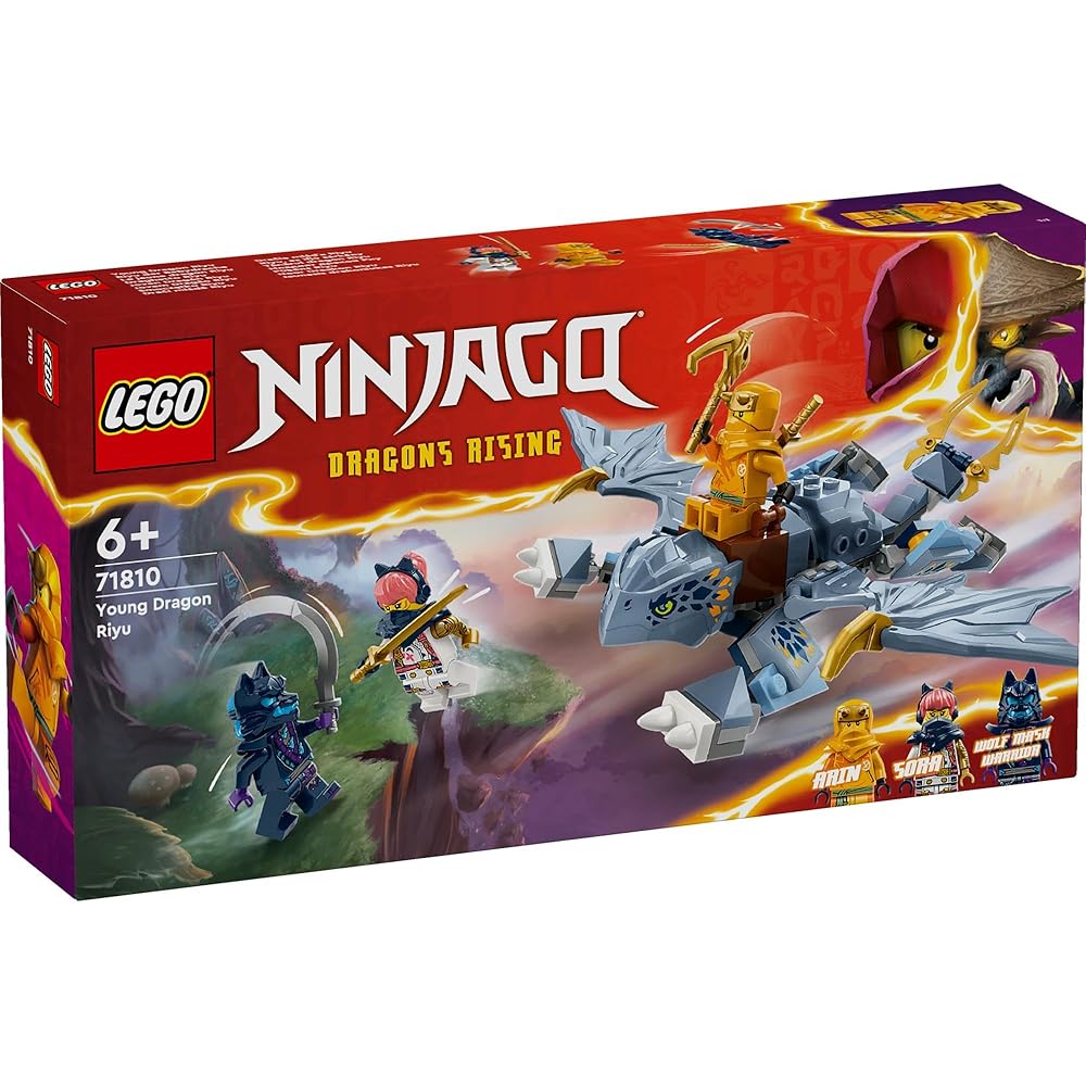 LEGO Ninjago Dragon Toy Building Blocks for Kids Ages 6-9 Educational Gift for Boys and Girls 71810