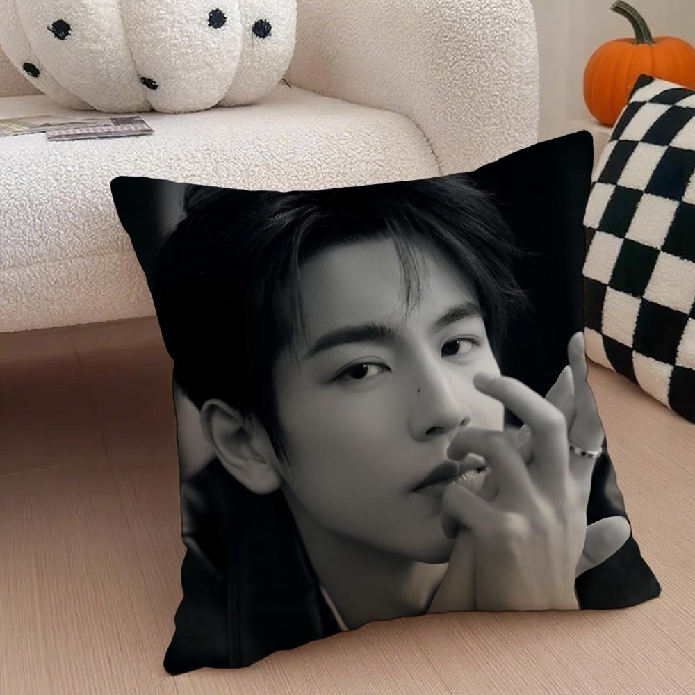 Handsome Versatile Chinese Actor ZZhangLingHe Cushion Cover Throw Pillow Cover Hidden Button Durable Polyester Chair Cushion