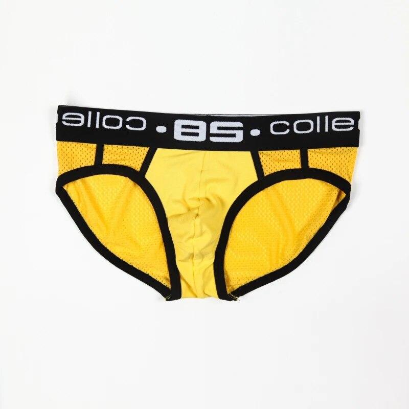 Clearance_Brand 0850 Men Underwear Mesh Qucik-Dry Sexy Men Briefs Breathable Mens Slip Cueca Male Panties Underpants Briefs BS10