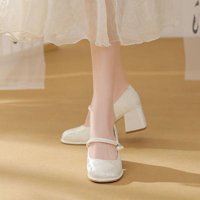 Fashion Versatile and Comfortable Mary Jane Single Shoes Women's Skirt Gentle Thick Heel Women's Shoes Spring and Summer 2025 New