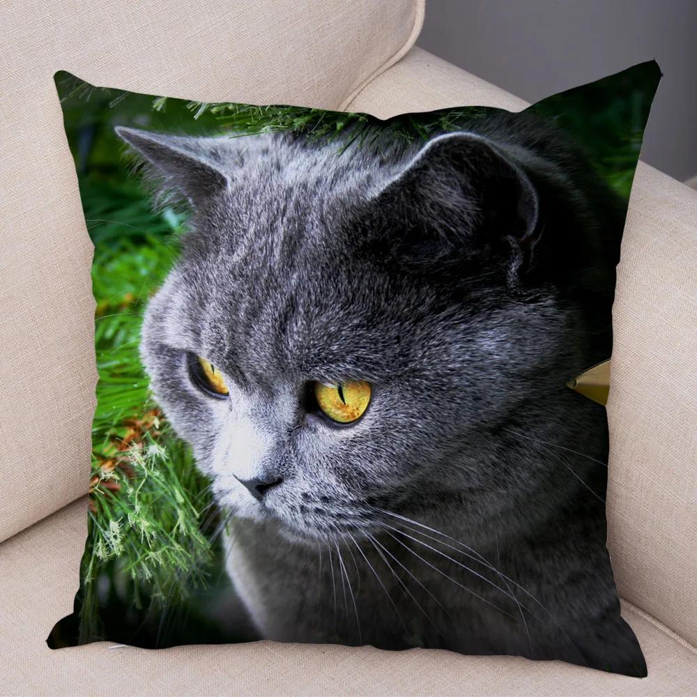 Cute Pet Animal Print Pillowcase Funny  Cat  Decoration Car Sofa Home Cushion Cover