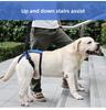 Adjustable Dog Lift Harness Pet Support Sling Pet Dogs Aid Assist Harness for Old Dogs for Back Legs Help Weak Legs for Walking