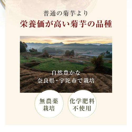 Orgalife Jerusalem Artichoke Powder, Domestically Grown, Pesticide-Free, Purple Jerusalem Artichoke, Inulin, 100g, Additive-Free, Dietary Fiber, Fudob