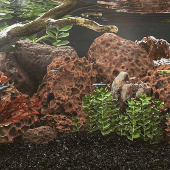 Roches Volcaniques - vidaXL - 25 kg - Décoration Aquarium - Filtre Biologique - Naturelles et Sûres