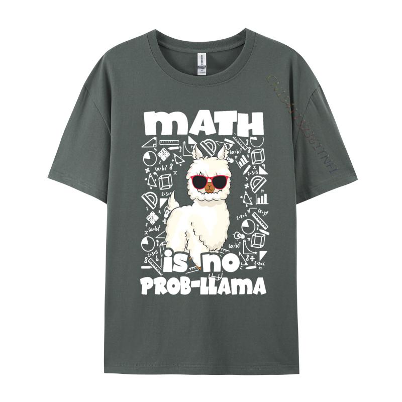 Math Is No Probllama Teacher T Shirts Tops Tees New Arrival Cotton Design Streetwear Boy Graphic T Shirts Unisex Oversized