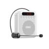 Aigo A151 Portable Voice Amplifier CN plug (adapter included) (CN version)