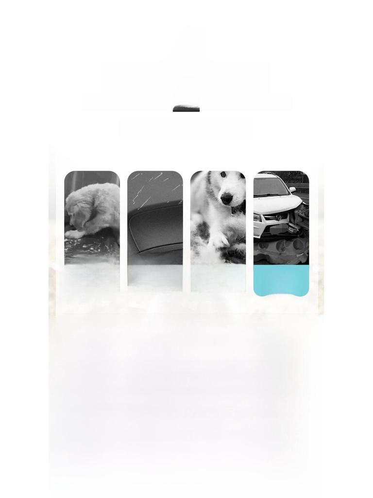 Car Dog Mat: Scratch-proof & Waterproof Pet Seat Cover