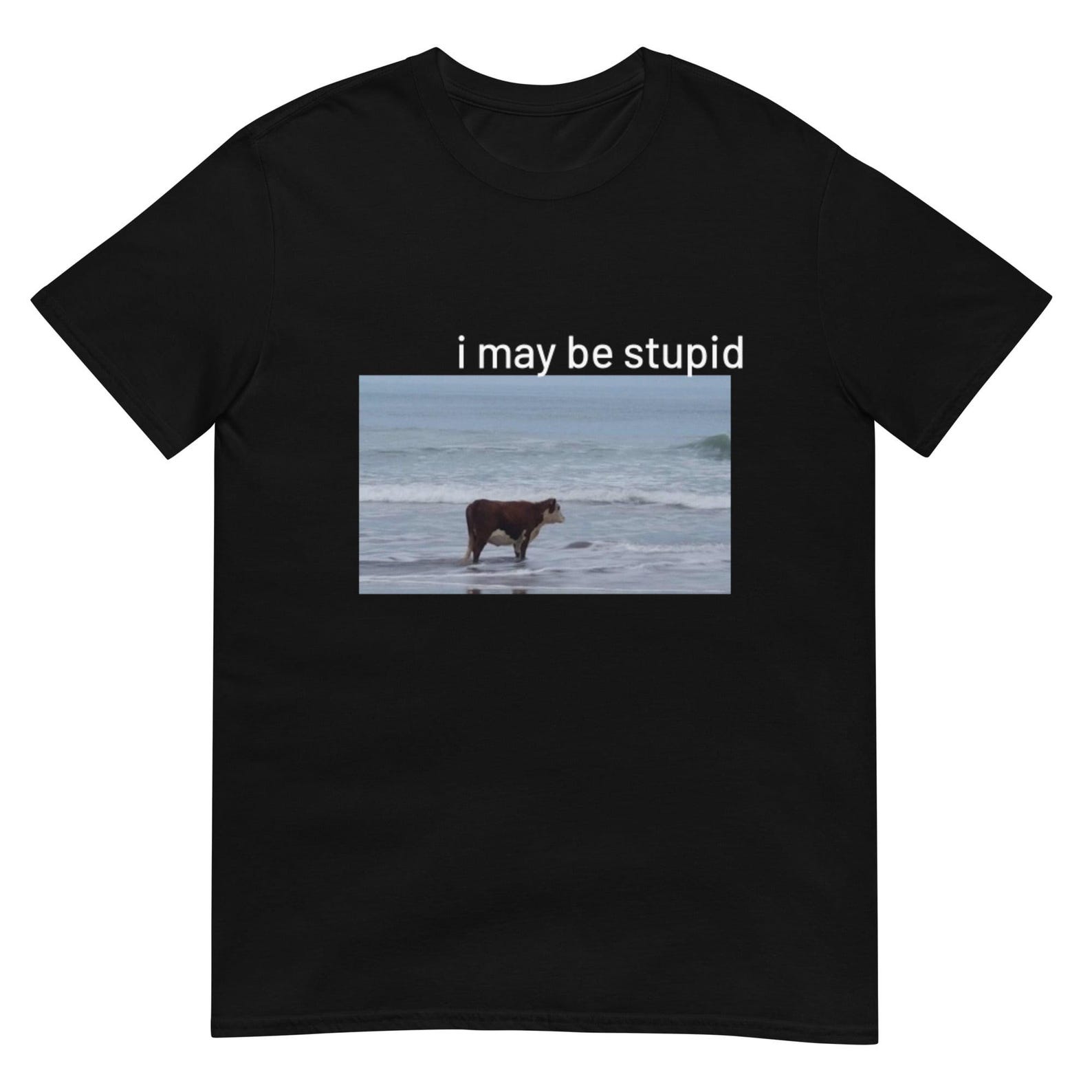 I May Be Stupid Cow on Beach Funny Meme Unisex T-Shirt 4XL