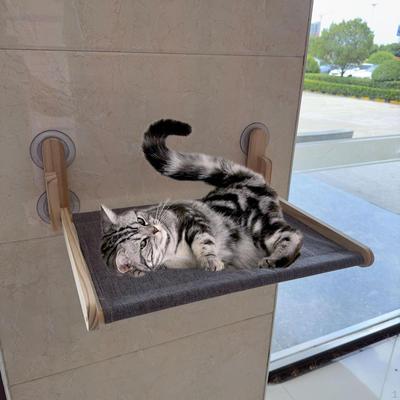 Kattliggplats för fönster med vikbar design och sugkoppar för inomhusbruk