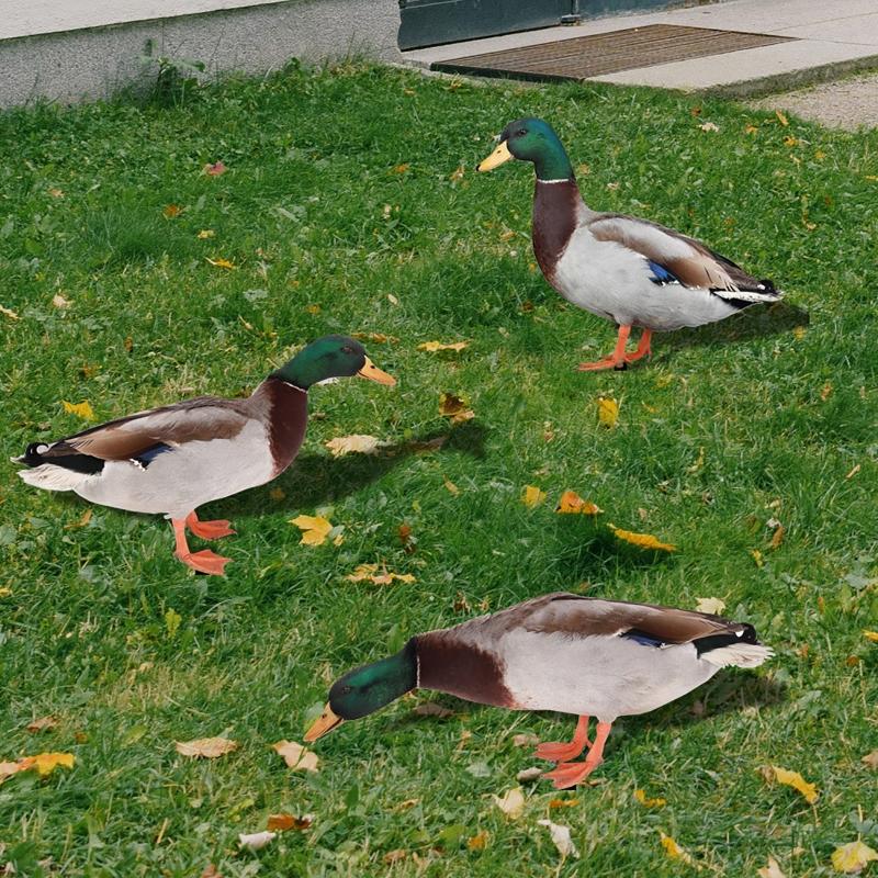 Chicken Garden Stakes Ornaments Rooster Hen Lawn Insert Signs Outdoor Decoration Animal Sculpture Statue Yard Signs