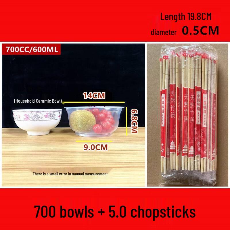 Disposable Meal Bowl and Chopsticks Set