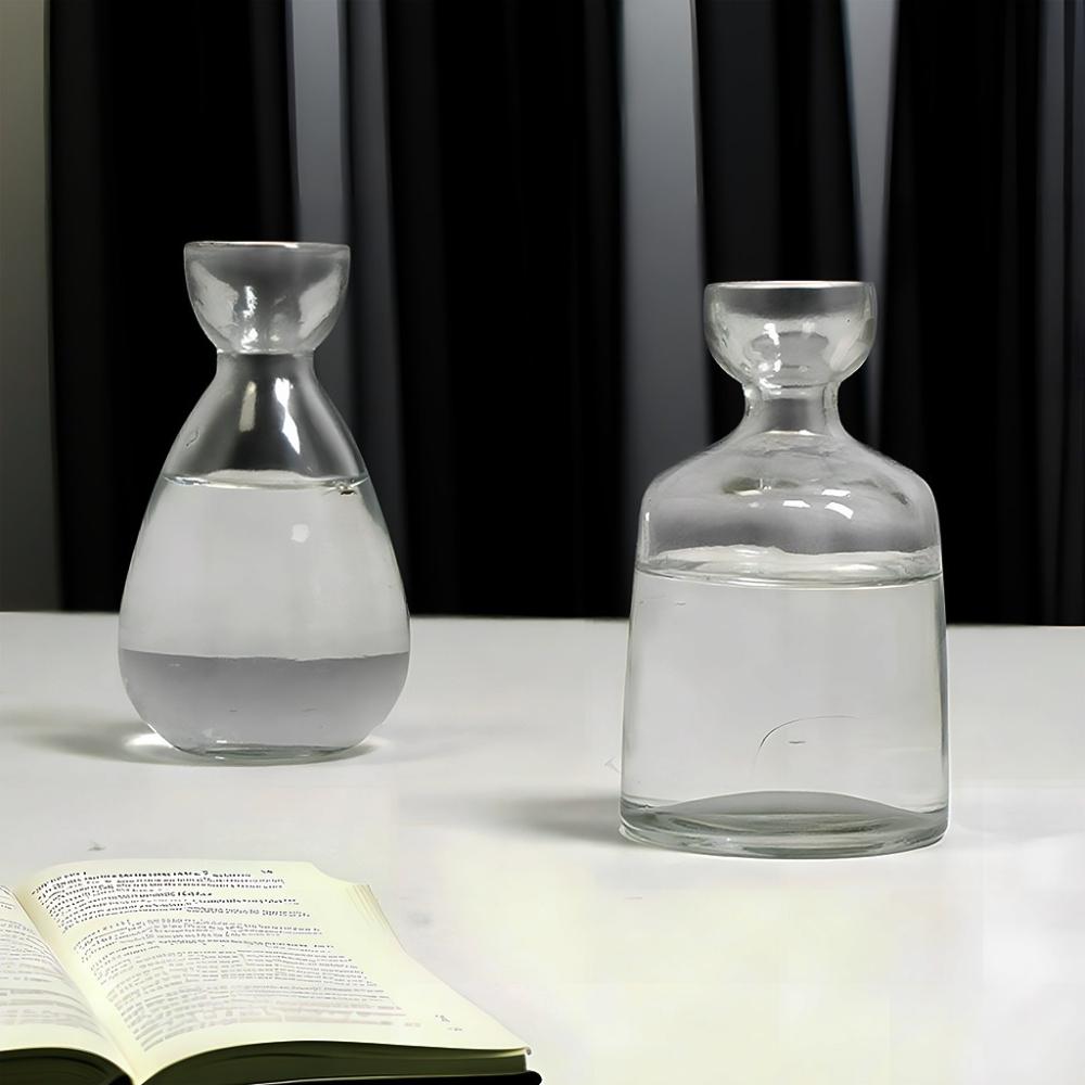 Kreativní váza Skleněná hydroponická váza na semena Skleněná váza Váza na avokádo Domácí dekorace na stůl Hydroponická ozdoba Milovníci zahradničení