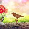 1pc Black Crow Metal Bird Garden Statue Transform your outdoor space with this statue. Perfect for yard, garden, and lawn.