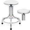 Stainless Steel Laboratory Stool, 4560 Cm, Up To 150 Kg