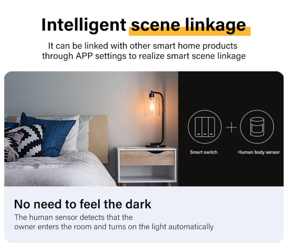 Thermohygrometer AAA*2 Humidity Detector Smart Wifi