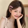 Polka Dot Bangs Clip Korean Snap Clip Fashion Beard Shape Hair Clips  For Women Girls