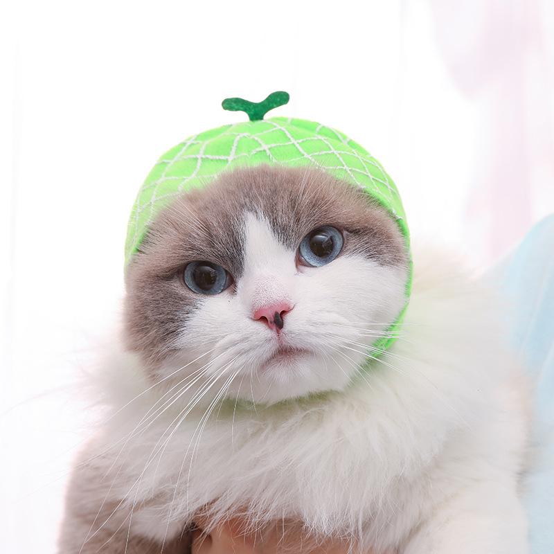 Cat Wearing Fruit Hat Buy Cat Hat Japanese Pet Creative Cute Fruit