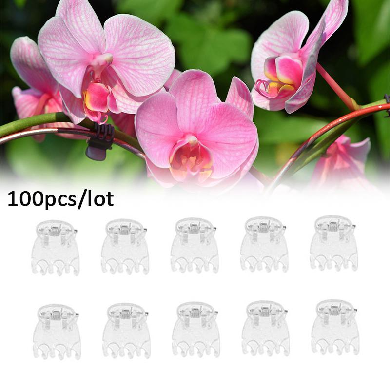 100 ks Průhledné sponky na zahradní rostliny Průhledný plast Svorka na orchideje se 6 drápy Květinový šplhací stonek Dekorativní podpůrný fixátor