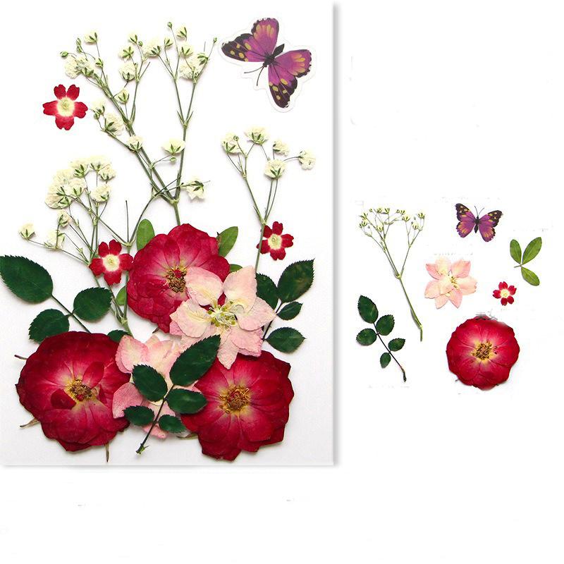 Diy Handmade Embossed Bookmarks 6 Colors Dried Flower Embossing Kit Dried Flower Hand Paste Face Makeup Leaf Veins Dried Flowers