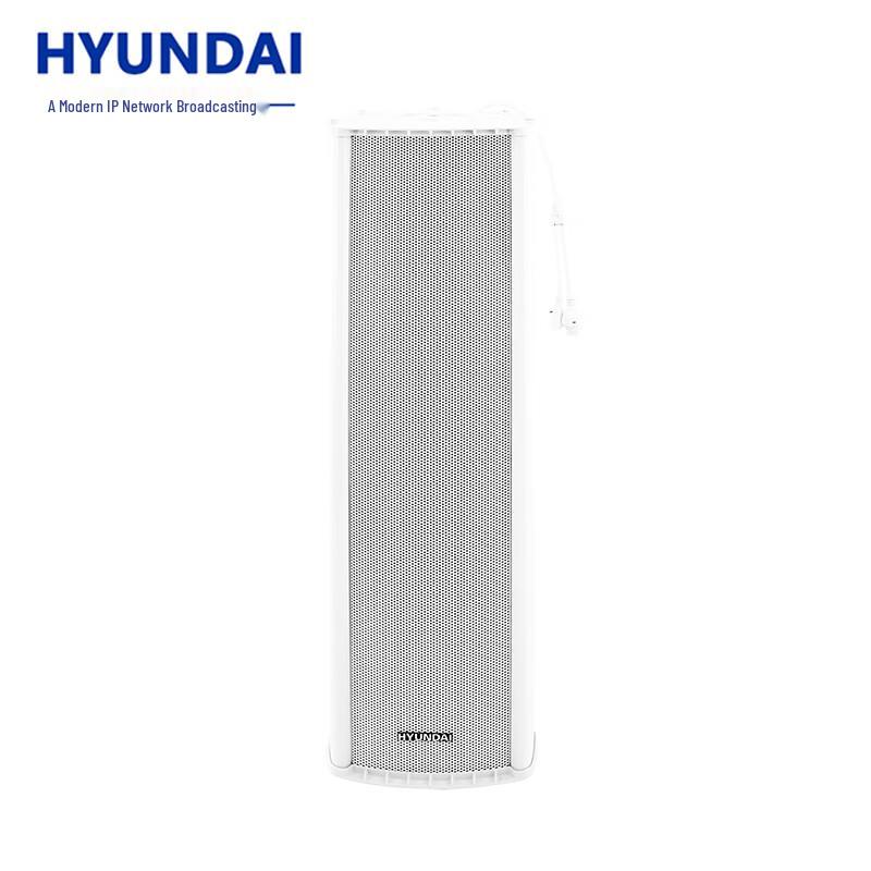 Hyundai IP Network Broadcasting Audio Systems CN plug (adapter included)