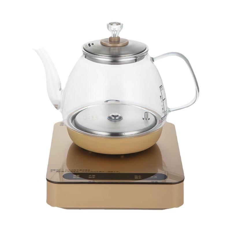 OIMG Automatic Electric Tea Kettle with Water Pump