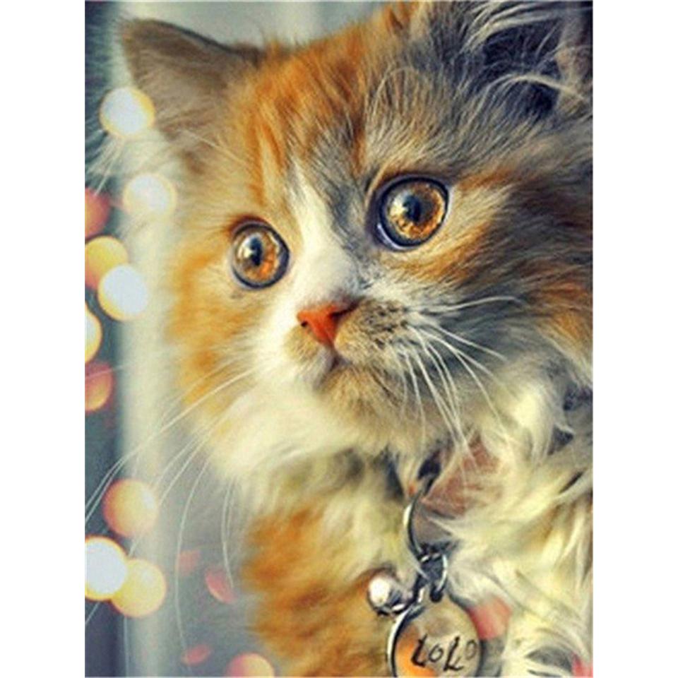 5D DIY Diamond Painting Animal Full Diamond Embroidery Cross Stitch Mosaic Cat Art Picture Furniture Decoration Rhinestone Gift