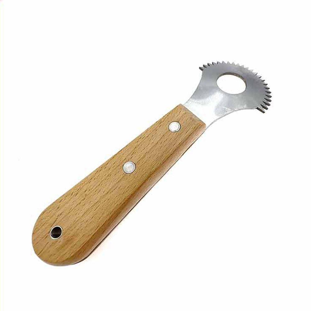 Stainless Steel Coconut Planer Sharp Coconut Grater Fruit Spoon Planer  Fresh Coconut Meat