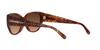 Coach Sunglasses HC8362U CH563 Caramel Tortoise Gradient Lens 57 Frame/Brown