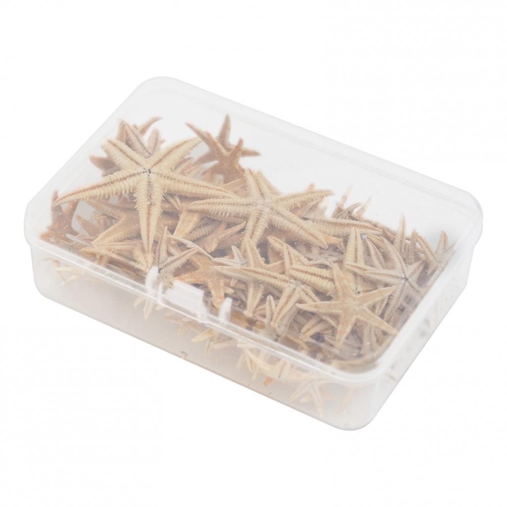 Natural Starfish Craft Starfish Fish Tank Decoration Jewelry Making
