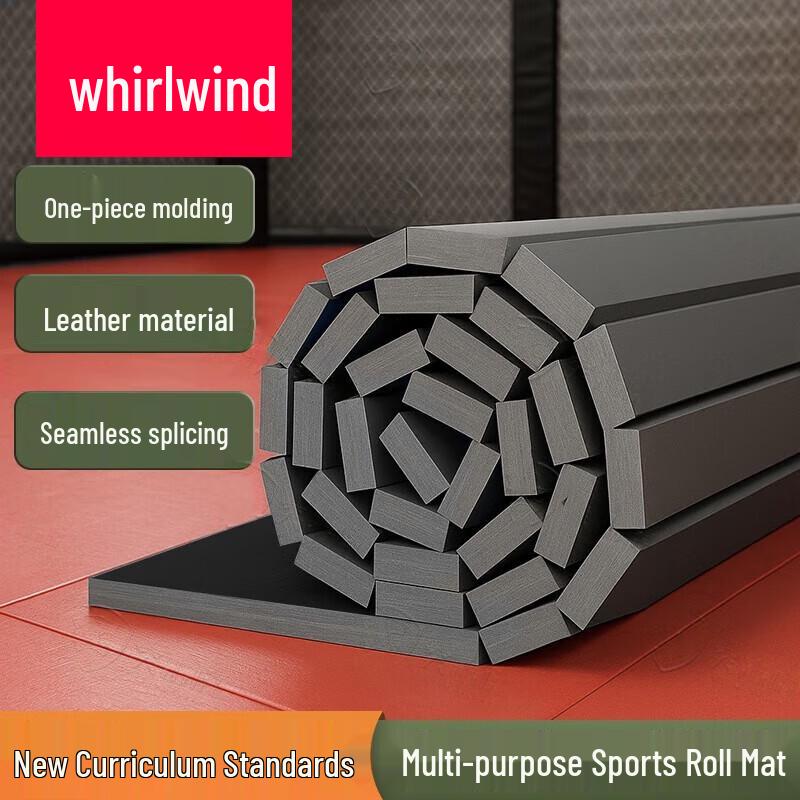 Xuan Shi Professional Martial Arts Training Mat