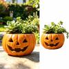 Weather Resistant Plant Pot for Garden Halloween Pumpkin Planter Resin Jack-O-Lantern Flower Pot Decorative Vessel Ornamental Grasses Succulents