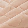 Soft Padded Winter Coral Fleece Mattress Pad with Plush Velvet Quilted Cover