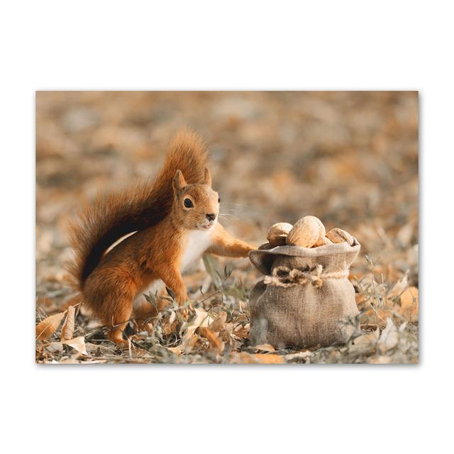 

Скандинавский урожай, осенний сезон тыквы, сельская настенная живопись, холст, живопись, постеры и принты, настенные панно для украшения гостиной 30X40cm No Frame