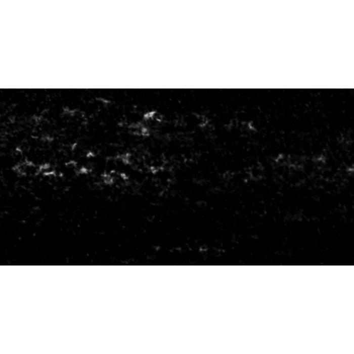 Pastel - SENNELIER - Purplish-Blue Grey 478 - Extra doux - Pigment pur - Liant naturel