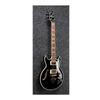 Series Ibanez/ARTIST AR520H-BK (Black)